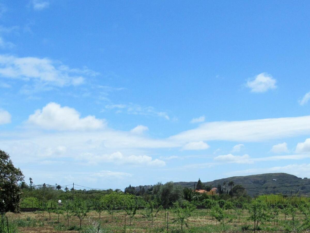 Casa Rural El Alpendre 维加-德圣马特奥 外观 照片