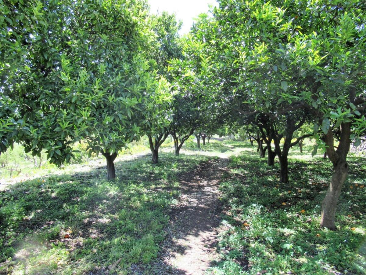 Casa Rural El Alpendre 维加-德圣马特奥 外观 照片