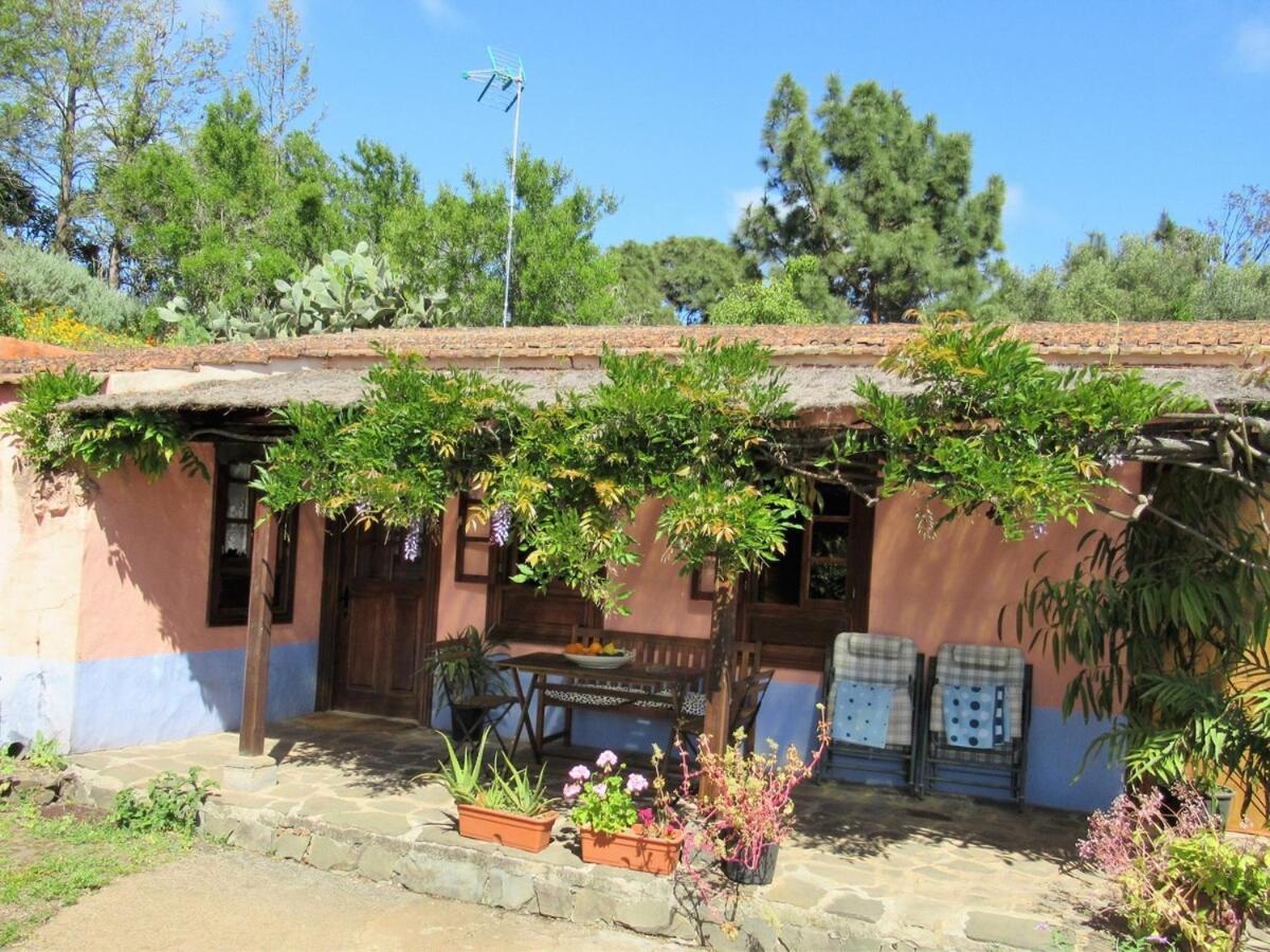 Casa Rural El Alpendre 维加-德圣马特奥 外观 照片