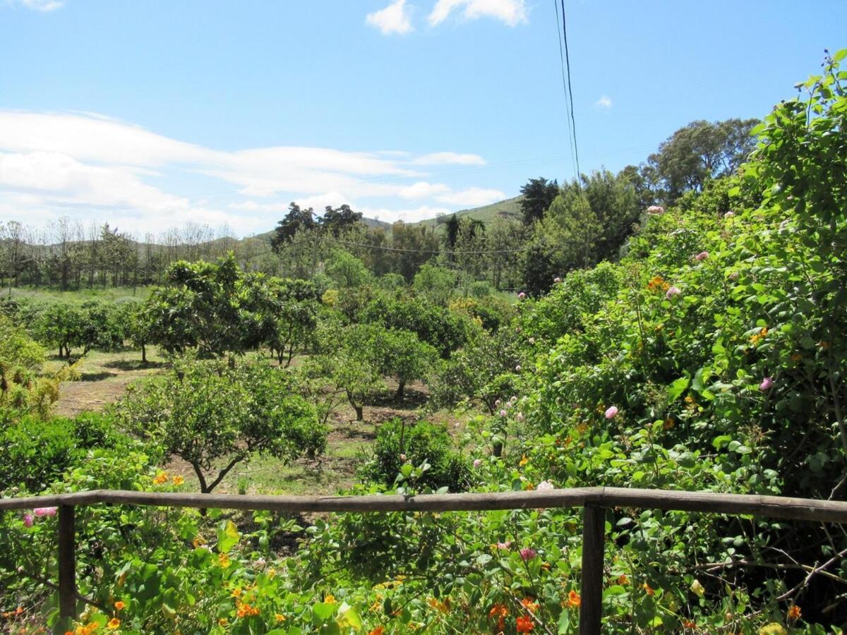 Casa Rural El Alpendre 维加-德圣马特奥 外观 照片