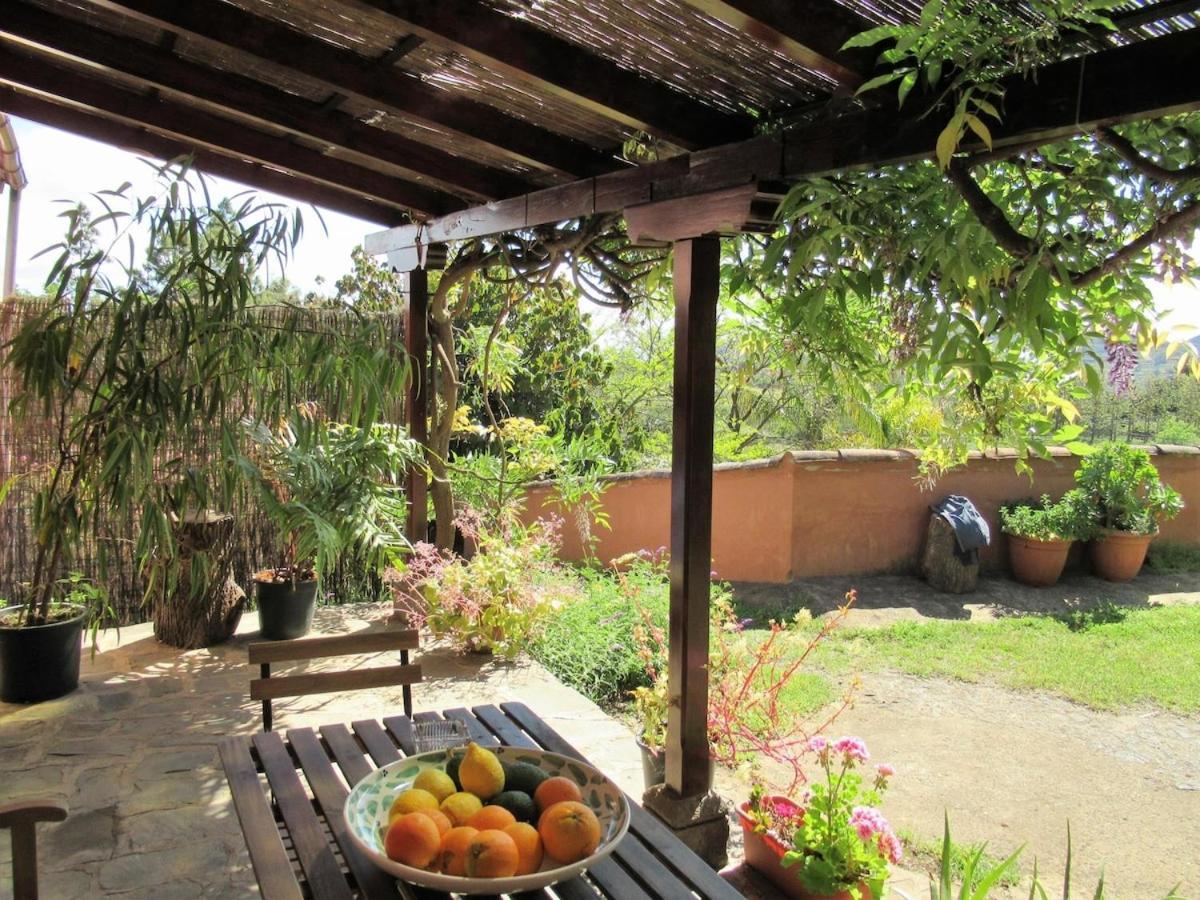 Casa Rural El Alpendre 维加-德圣马特奥 外观 照片