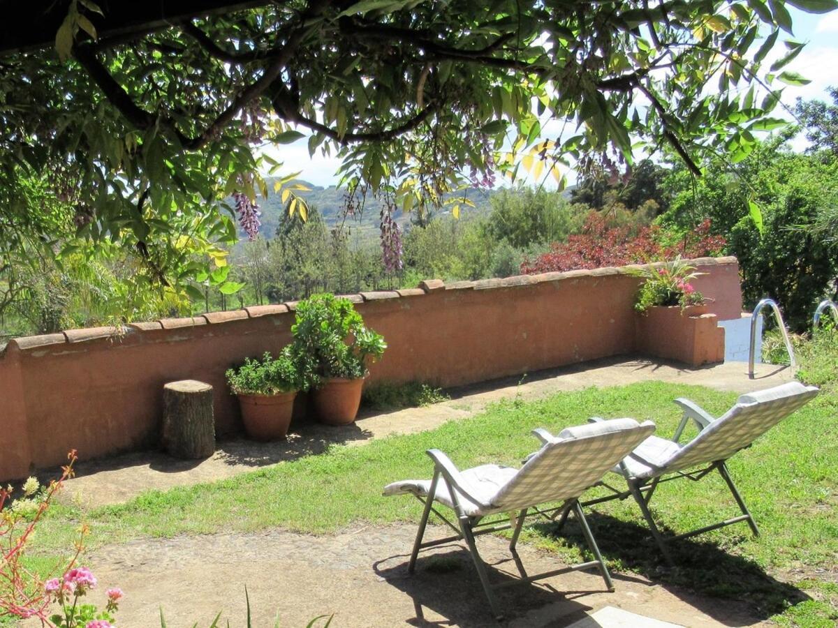 Casa Rural El Alpendre 维加-德圣马特奥 外观 照片